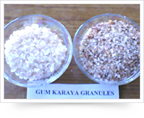 Sterculia Granules In IP/BP Grades (Hot)